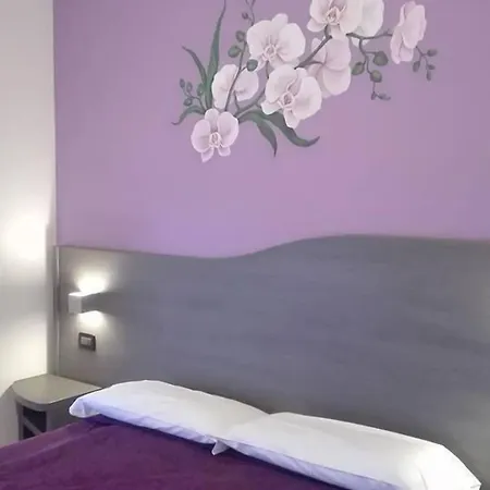 Leon D'oro Hotel